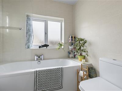 Picture 24